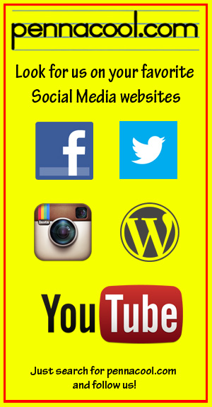 noticeboard Social Media.jpg
